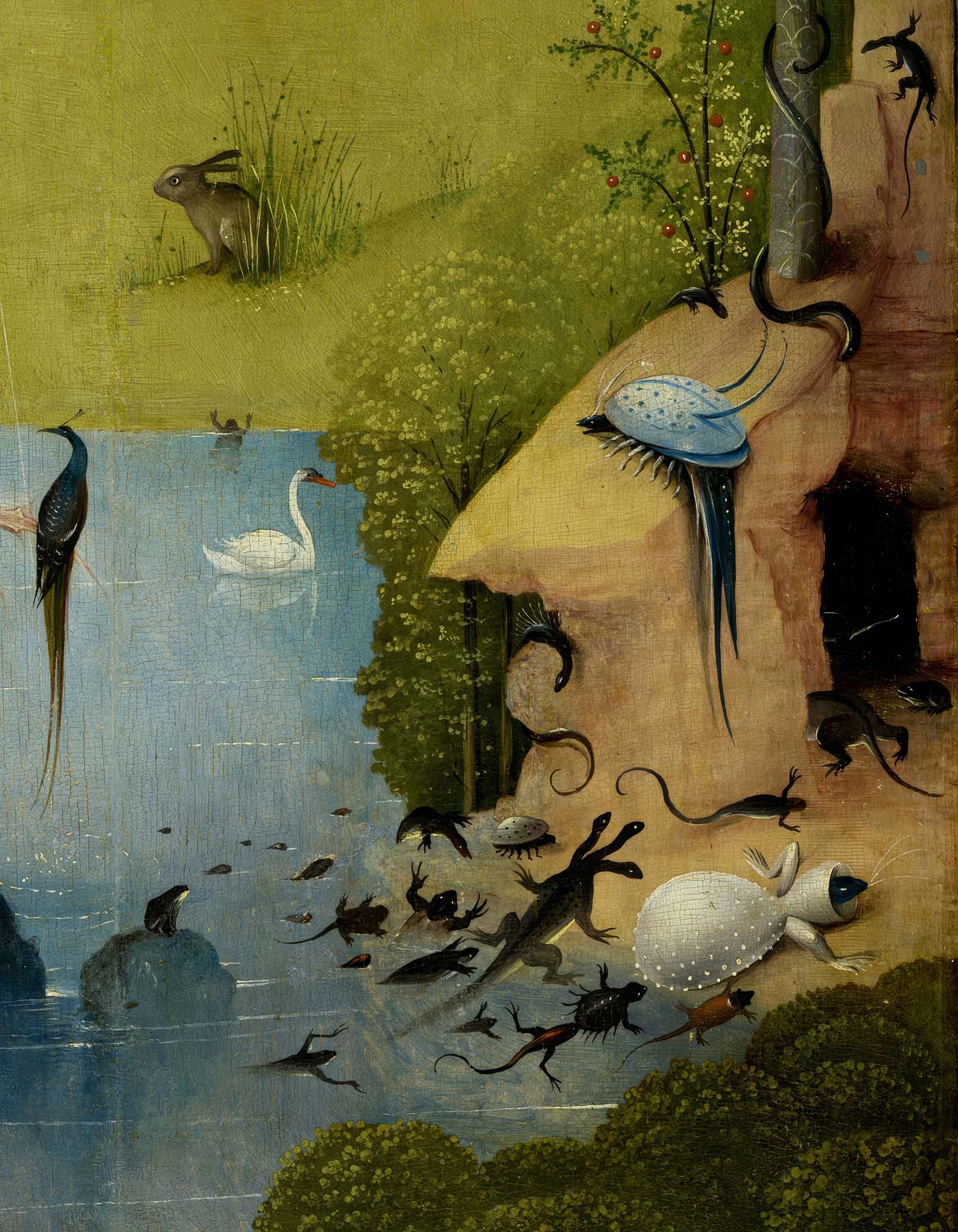 The Curious Cliff